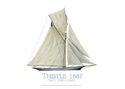 Thistle 1887 by Tony Fernandes. [print]