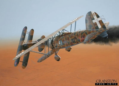 Tribute to Capitano Antonio Raffi by Ivan Berryman. [Postcard]