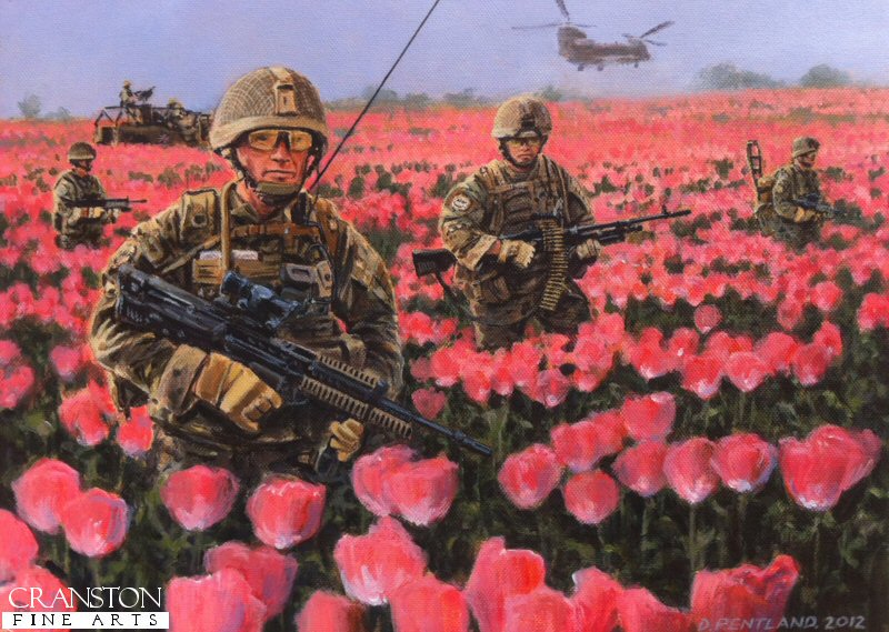 Poppy Fields by David Pentland. [Postcard]