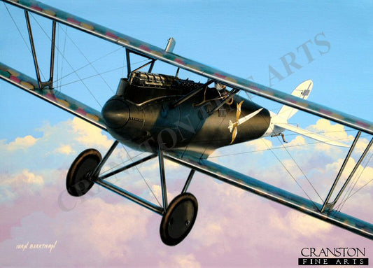 Tribute to Uffz. Werner Hertel, Pfalz D.III by Ivan Berryman. [Postcard]