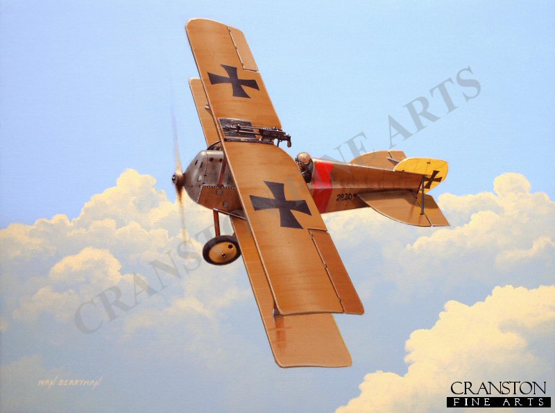 Tribute to Austro-Hungarian Ace Raoul Stojsavljevic by Ivan Berryman. [Original Painting]