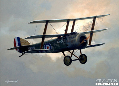 Tribute to 8 Naval Squadron by Ivan Berryman. [Postcard]