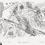 Special Multi pack - 3 Original Pencil Drawings and an Artist Proof.