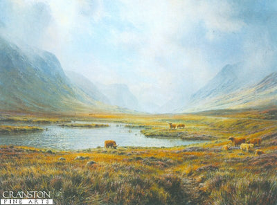 Highland Cattle, Glen Coe by Rex Preston. [print]