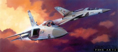 The Peacekeepers by Adrian Rigby. [print]