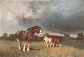 The Shires by Terence Cuneo. [print]