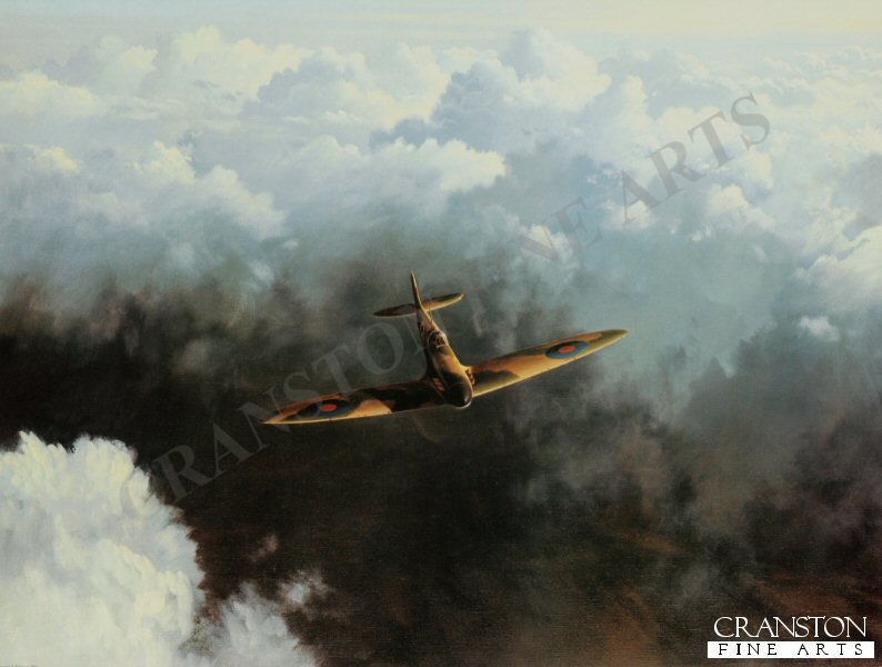 Evening Flight by Gerald Coulson [Print]