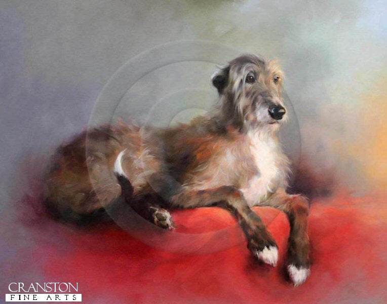 Robbie (Deerhound Lurcher) by Jacqueline Stanhope. [print]