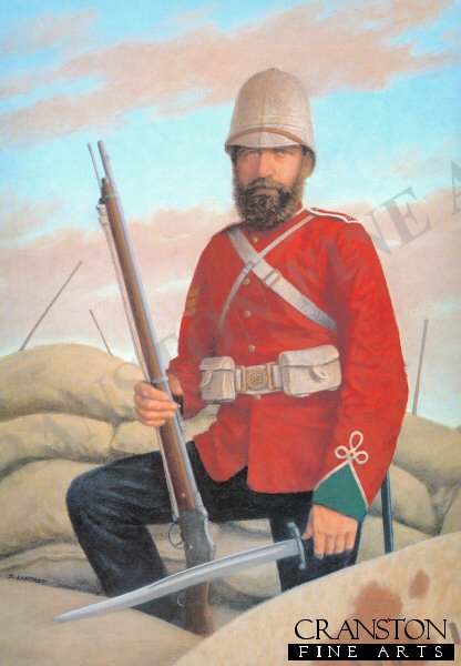 Colour Sergeant Frank Bourne DCM by Stuart Liptrot. [Print]