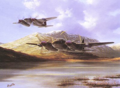 Mosquito by Barry Price. [print]