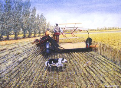 Watch Out by Ray Hutchins. [print]