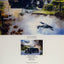 Biggin Departure by Bob Murray [Greetings Card]