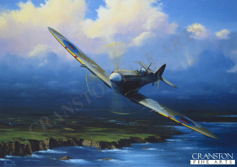 Coastal Patrol Spitfire by Barry Price [Greetings Card]