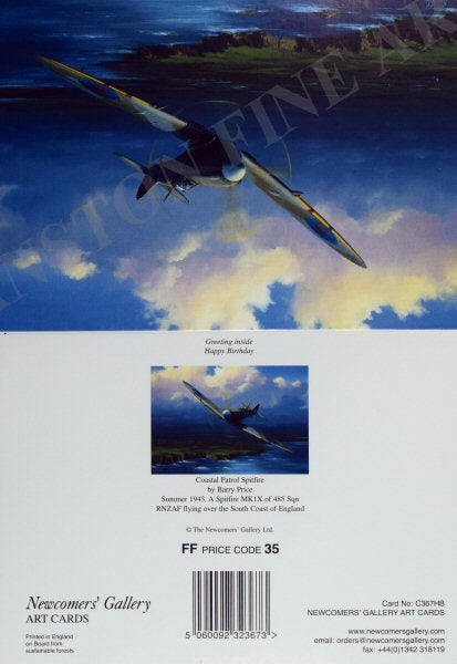 Coastal Patrol Spitfire by Barry Price [Greetings Card]