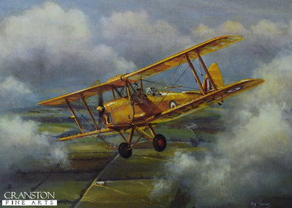 Tiger Moth by Roy Garner [Greetings Card]