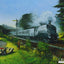 LNER Gresley A4 No. 2512 'Silver Fox' by Chris Woods. [Greetings Card]