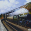 King Edward II at Teignmouth by Barry Price [Greetings Card]