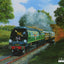 'Blackmoor Vale' Golden Arrow by Barry Price [Greetings Card]