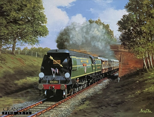 Blackmoor Vale - Golden Arrow by Barry Price [Print]