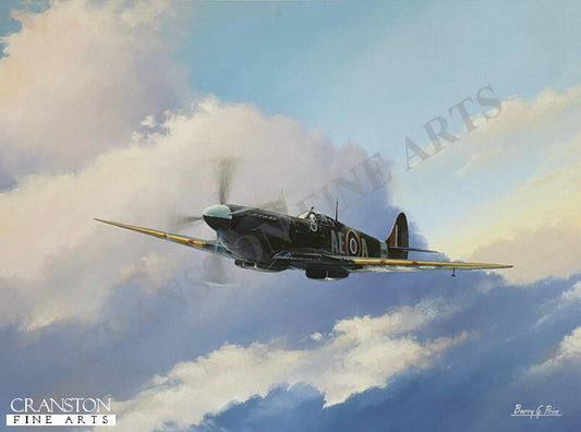 Spitfire MKIX by Barry Price. [Print]