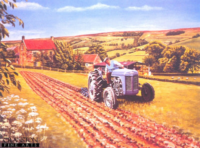 Grey Ferguson TE 20 by Trevor Mitchell. [print]
