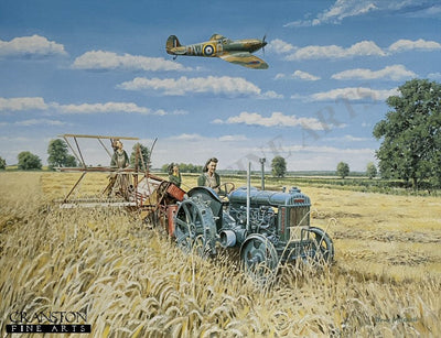 Harvesting Victory by Trevor Mitchell. [print]