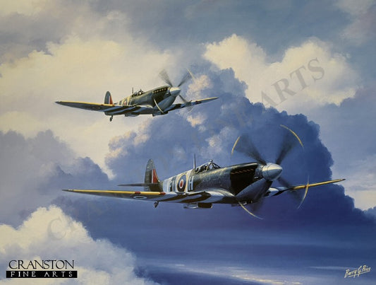 Spitfire Duo by Barry Price. [Print]