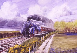 The Mallard by Robert Barbour [Original Painting]