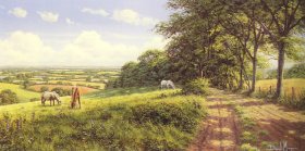 Peaceful Pasture by David Morgan. [print]