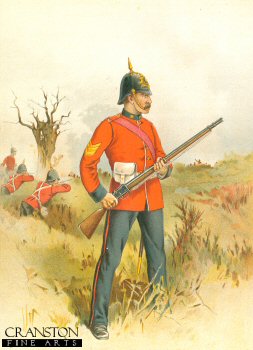The 35th Royal Sussex by Frank Feller [Antique]